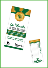 Load image into Gallery viewer, Personalised Santa Letter and Extras - Ideal for Minecraft Fans