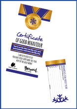 Load image into Gallery viewer, Personalised Santa Letter and Extras - Santa Loves Frozen