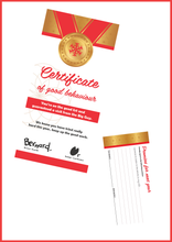 Load image into Gallery viewer, Personalised Santa Letter and Extras - Youtube Themed

