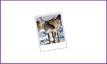 Load image into Gallery viewer, Elf Town Treats Folder with North Pole Penny
