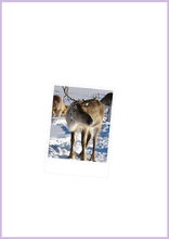 Load image into Gallery viewer, Baby&#39;s 1st Santa Letter with Extras
